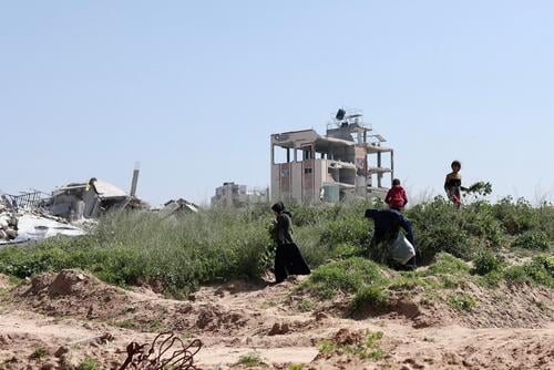 Food shortage in Gaza