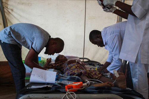 Nigeria - Malaria in Borno state Nigeria - Malaria in Borno state