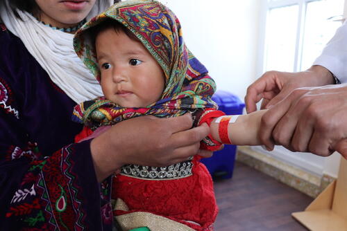 Families suffering from displacement in Herat, Afghanistan