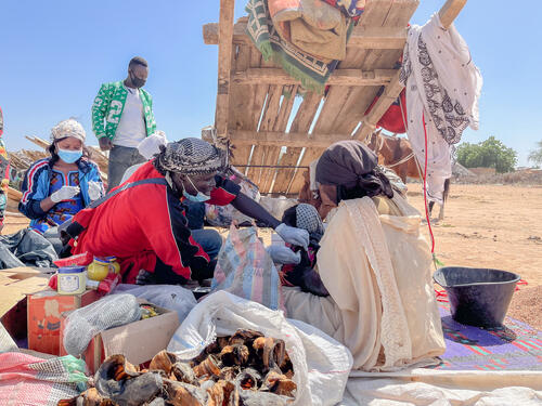 Diphtheria epidemic in Chad