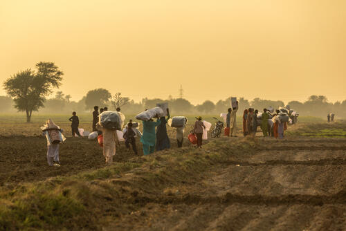 Non Food Items distribution Non Food Items distribution