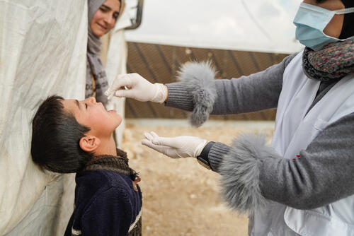 Cholera vaccination campaign in Lebanon Cholera vaccination campaign in Lebanon