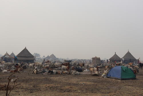 Violence, Cholera, and Displacement: A Region Trapped in Crisis Violence, Cholera, and Displacement: A Region Trapped in Crisis