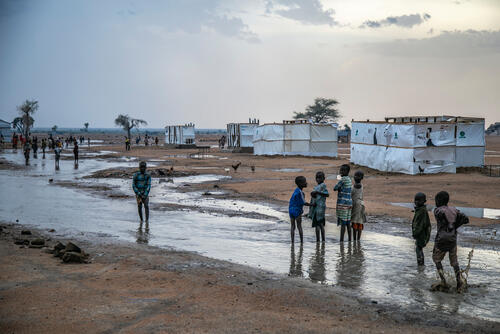 Surviving conflict in northeast Nigeria