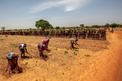 Nutritional crisis in northwest Nigeria