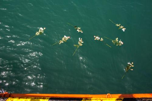 22 people lost their lives at sea and 209 rescued 22 people lost their lives at sea and 209 rescued